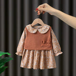 1C Girls skirt and sweater set, woolen two-piece set, long sleeves, knitted clothes for 1-5 years old children